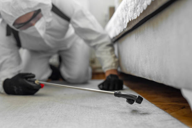 Professional Pest Control technician working in Webb County County, TX